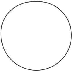 Vožtuvo dangtelio tarpinė 1000130402