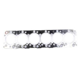 Cilindro galvutės tarpinė 504385500FPT