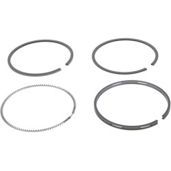 Stūmoklio žiedas +0,4 8094325FPT