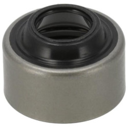 Vožtuvo koto sandariklis 1C01013150