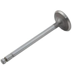 Įleidimo vožtuvas 0910064