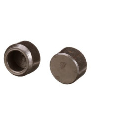 Vožtuvo dangtelis 504387777FPT