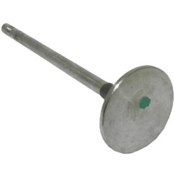 Išmetimo vožtuvas 504081062FPT