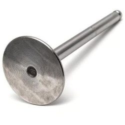 Įleidimo vožtuvas 31431281