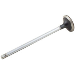 Įleidimo vožtuvas 500355778FPT