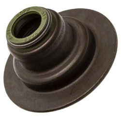 Vožtuvo sandariklis 2418M519