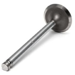 Įleidimo vožtuvas 31431981