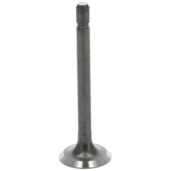 Išmetimo vožtuvas 1497213120