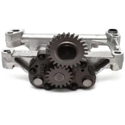 Variklio alyvos siurblys 4132F073