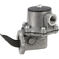 4238004