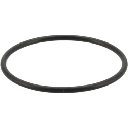 Kuro siurblio tarpinė 1000448029