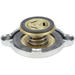 Radiatoriaus dangtelis MA52583629