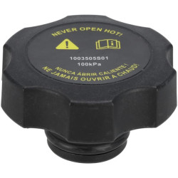 Radiatoriaus dangtelis MA940895