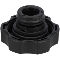 Radiatoriaus dangtelis MA940895