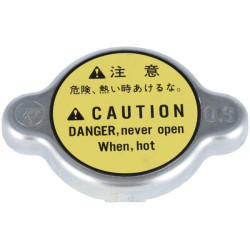 Radiatoriaus dangtelis RC41142540