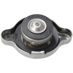 Radiatoriaus dangtelis RD45142370