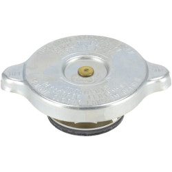 Radiatoriaus dangtelis MA189953