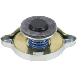 Radiatoriaus dangtelis MA189953