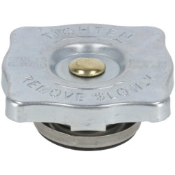 Radiatoriaus dangtelis MA745061