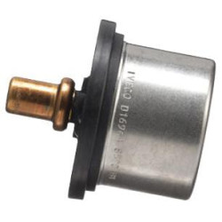 Termostatas 504096443FPT