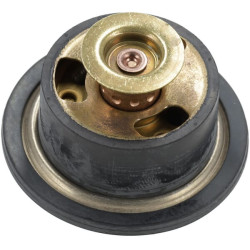 Termostatas MA52726168