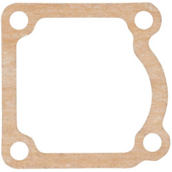 Termostato tarpinė 1000308145