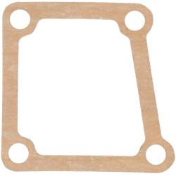 Termostato tarpinė 1000206868