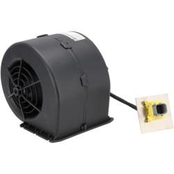 Pūstuvas 1000338057