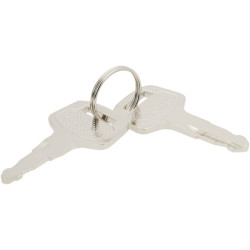 Raktas TC83231850
