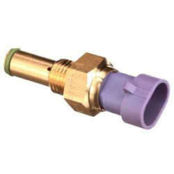 Jutiklis 5801567640FPT