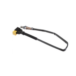 Temperatūros jutiklis 5802392179FPT