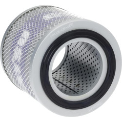 Hidraulinis filtras 22P6021161