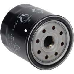 Alyvos filtras 6002112111