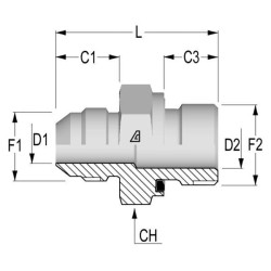 Adapteris 1-1/16 JIC x 3/4 BSP RIB1712WD