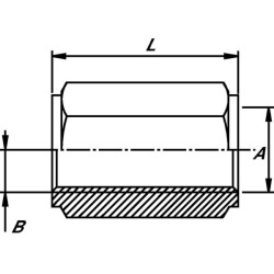 Reduktoriaus įvorė 1/2 x 3/8 BSP ZB0806
