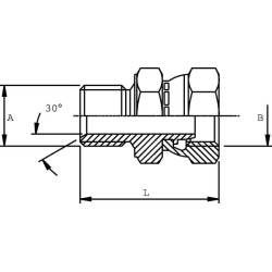 Adapteris V/F 1/2 BSP VNBW08