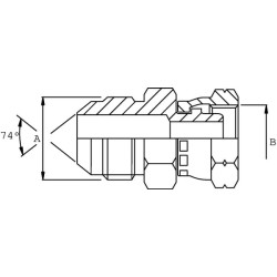 Adapteris V/F 3/4 JIC x M18 VNJMW1218