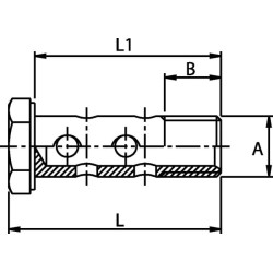 Banžo varžtas dvigubas 1/2 BSP 22mm HBB08D22