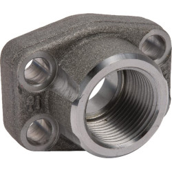 SAE flanšas AFS316G12