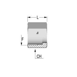 Srieginis dangtelis Ø20-1 1/16 UNF W1720