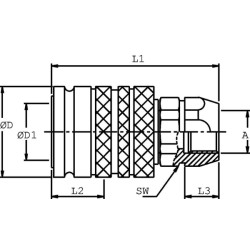 Mova su sriegiu 3/8-3/8" BSP SKPF10AC06