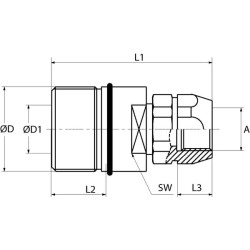 Greito atjungimo jungtis, vidinis sriegis 3/8" BSP SKSF10C06