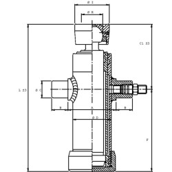 Teleskopinis cilindras TC 3022 su rutuline galvute TC3022