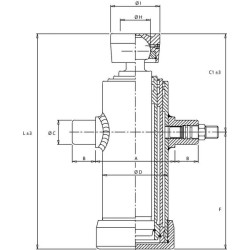 Teleskopinis cilindras TC 2033 su rutuline galvute TC2033