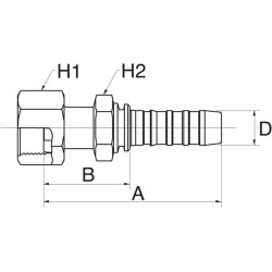 Įdėklas DN20-1" SAE 12GS10FFORX