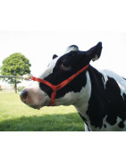 Gyvulininkystės įranga