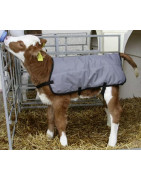 Veršelių antklodės