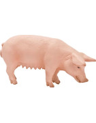 Kiaulių gyvulininkystės įranga