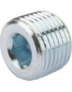 NPT
