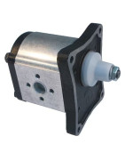 Krumpliaratiniai varikliai